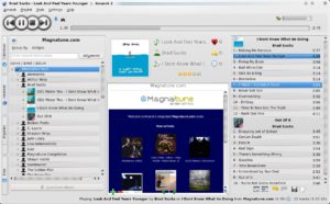 Amarok 2 verstärkt die Integration von Webdiensten wie Magnatune, Jamendo, Mp3tunes, Last.fm, Shoutcast und Ampache.