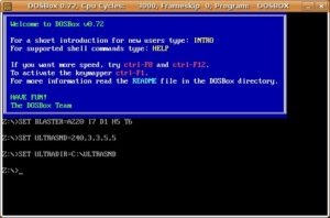 Nach dem Start von DosBox findet sich der Anwender auf der DOS-Konsole wieder.