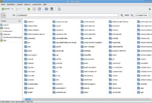 Gnomes Dateimanager Nautilus enthält ab der nächsten stabilen Version eine neue Kompakt-Ansicht.