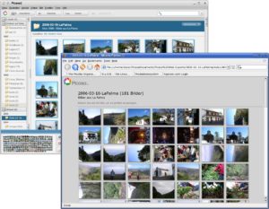 Mit Googles Picasa erstellen Sie per Mausklick eine einfache Bildergalerie.