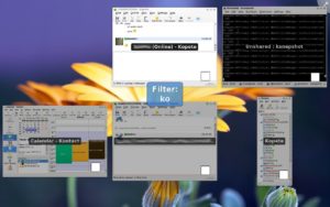 Die bekannte Exposé-Darstellung haben die KDE-Entwickler um eine raffinierte Filterfunktion erweitert.