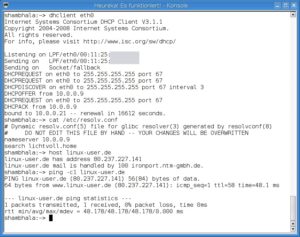 Abbildung 3: So sieht es aus, wenn DHCP und DNS funktionieren.