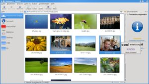 Abbildung 4: Seit KDE 4.2 zeigt Dolphin die Schlüsselwörter in einer Tag-Cloud geordnet an.