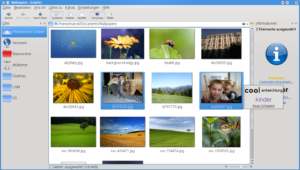 Seit KDE 4.2 zeigt Dolphin die Schlüsselwörter in eriner Tag Cloud an.