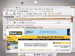 Granular bietet eine gute Auswahl an Desktopsoftware und nutzt Enlightenment als Windowmanager.