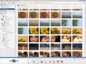 Abbildung 1: Die Fotoverwaltungssoftware Picasa bietet eine Reihe von Sortier- und Suchfunktionen, mit deren Hilfe Sie den Überblick über Ihre Bildersammlung bewahren.