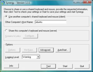 Abbildung 1: Synergy als Client unter Windows Vista.