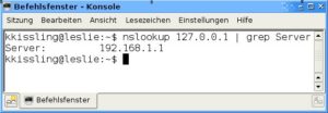 Abbildung 6: Den lokalen DNS-Server identifizieren Sie über "nslookup", meist ist die IP mit der des Routers identisch.