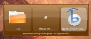 Abbildung 3: Auch einzelne Musikstücke oder ganze Alben spielen Sie dank Gnome Do in null Komma nichts ab.