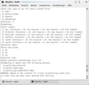 Abbildung 6: Leider nur im Terminal: Mounten verschlüsselter Ordner auf einem Live-System.