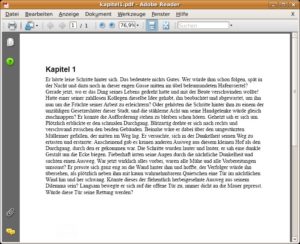 Abbildung 6: Das PDF-Dokument im Adobe Reader…
