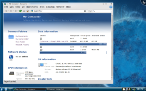 Die aktuelle Entwicklerversion von Fedora 11 schlägt sich auf dem NC20 sehr gut.