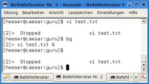 Abbildung 1: Der Editor "vi" ist ein Beispiel für Programme, die nicht im Hintergrund laufen können.