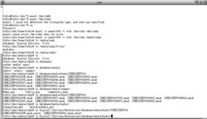 Abbildung 4: Die E-Book-Reader werden als USB-Massenspeicher erkannt. Sie müssen sie als beschreibbare VFAT-Partition mounten, was nicht jede Linux-Konfiguration automatisch erledigt.
