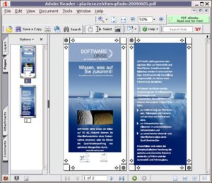 Abbildung 1: Mehrseitige Darstellung im Acrobat Reader.
