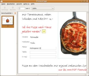 Abbildung 2: Mit Evince betrachten Sie nicht nur PostScript- und PDF-Dateien, sondern füllen auch einfache PDF-Formulare aus.