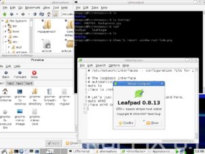 Abbildung 4: Der LXDE-Desktop mit dem Dateimanager PCManFM, dem LXTerminal, LXAppearance und dem Editor Leafpad.