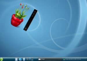 Abbildung 6: Das gibt's nur bei KDE 4: Ein gedrehter virtueller Blumentopf von Google.