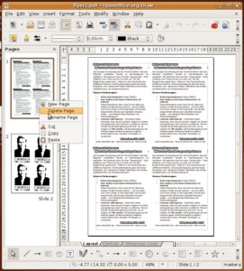Abbildung 2: Editieren eines PDF-Dokuments in OpenOffice 3.