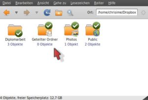 Abbildung 3: Dropbox versieht bereits synchronisierte Dateien und Ordner mit einem grünen Haken.