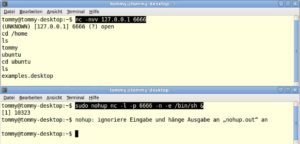Abbildung 1: Das obere Fenster zeigt Netcat beim Zugriff auf einen gestarteten Netcat-Server (unten).