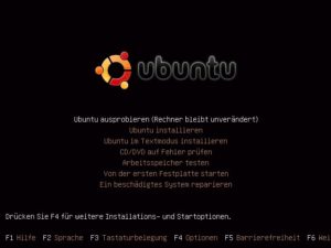 Abbildung 1: Beim Start der Installations-DVD stehen Ihnen zahlreiche Optionen zur Verfügung. Machen Sie sich mit dem System vertraut, bevor Sie es auf die Festplatte spielen.