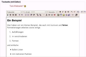Abbildung 8: Text aus OpenOffice kopieren Sie einfach per Copy & Paste in ein neues Moodle-Textdokument.