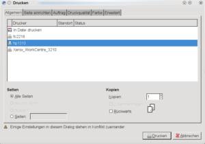 Der noch etwas rudimentäre Druck-Dialog von Chromium (man beachte das Icon oben links).
