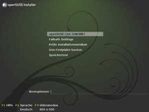 Der Bootbildschirm in einem dunklen Grau mit etwas Grün.