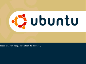 Press ENTER to boot...