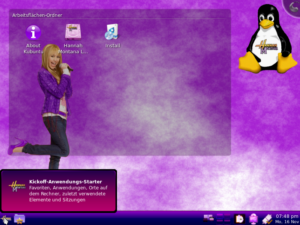 Der Standarddesktop von Hannah Montana Linux mit Schnellstartern für die Installation.