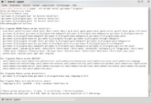 Abbildung 1: Das kann nur Zypper: Installation per Wildcard – mit ausführlichen Informationen zum Geschehen.