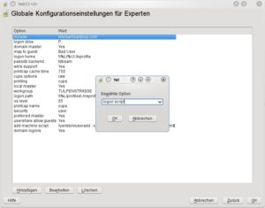 Abbildung 13: Über YaST fügen Sie der Samba-Konfiguration bei Bedarf zusätzliche Optionen hinzu.