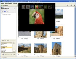 Abbildung 3: Das javabasierte Tool Jalbum erlaubt Ihnen das einfache Erstellen und Veröffentlichen von Fotoalben.