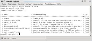 Abbildung 3: Welche Patches zurzeit gerade zur Verfügung stehen, testen Sie mit     <code srcset=