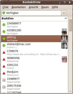 Abbildung 3: Das neue Empathy verspricht Videochat mit Nutzern verschiedenster Instant-Messenger-Netzwerke.
