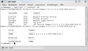 Abbildung 6: Ein kurzer Aufruf gibt darüber Aufschluss, ob sich der Samba-Server schon erreichen lässt.