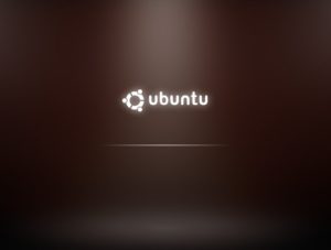 Abbildung 1: Beim Booten legt Ubuntu Wert auf Ästhetik: Der neue Hintergrund des Anmeldefensters wirkt dreidimensional.