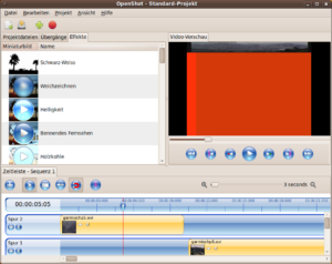 In unseren Tests wollte die Vorschau in Version 1.0 keine DV-Videos anzeigen.