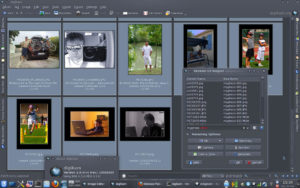 Digikam 1.0 bringt bereits zahlreiche Verbesserungen mit und lässt sich über die passenden Kipi-Plugins noch weiter ausbauen. (Bild: Gilles Caulier)