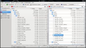 Abbildung 3: Über Pseudodateien im     <code srcset=