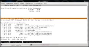Abbildung 5: Bei den meisten CPUs von AMD liefert der Kernel keine Informationen zu den C-States, wie hier am Beispiel eines Turion-X2-Prozessors zu sehen.