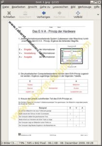 Abbildung 7: Zwei Wasserzeichen machen ein als Bilddatei gespeichertes PDF-Dokument unbrauchbar.