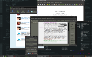 Die OpenSolaris-Live-CD MilaX mit dem Fenstermanager JWM.