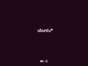 Abbildung 5: Dieser Bildschirm überdeckt in Ubuntu 10.04 das eigentliche Bootmenü der Live-CD. Wer nicht in einem englischen Desktop landen möchte, muss hier schnell eine Taste drücken.