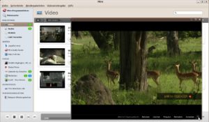 Abbildung 7: Per Mausklick trennen Sie Filme vom Hauptfenster und docken diese auch wieder an.