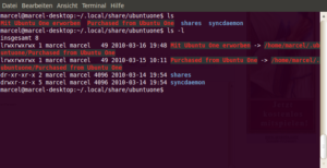 Nach dem Kauf wandern die Songs in die Cloud und werden dann per Symlink nach .ubutuone verfrachtet.