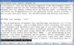 Abbildung 1: Das Tool "less" zeigt Textdateien an. Zeilenumbrüche mit Silbentrennung gibt es hier nicht.