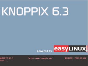 Abbildung 1: Der Bootmanager der Knoppix-DVD lässt Sie wählen, mit welcher grafischen Oberfläche das System startet. Voreingestellt ist LXDE.