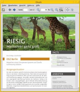 Abbildung 1: Die Darstellung druckfertiger PDF-Daten in EPDFview.